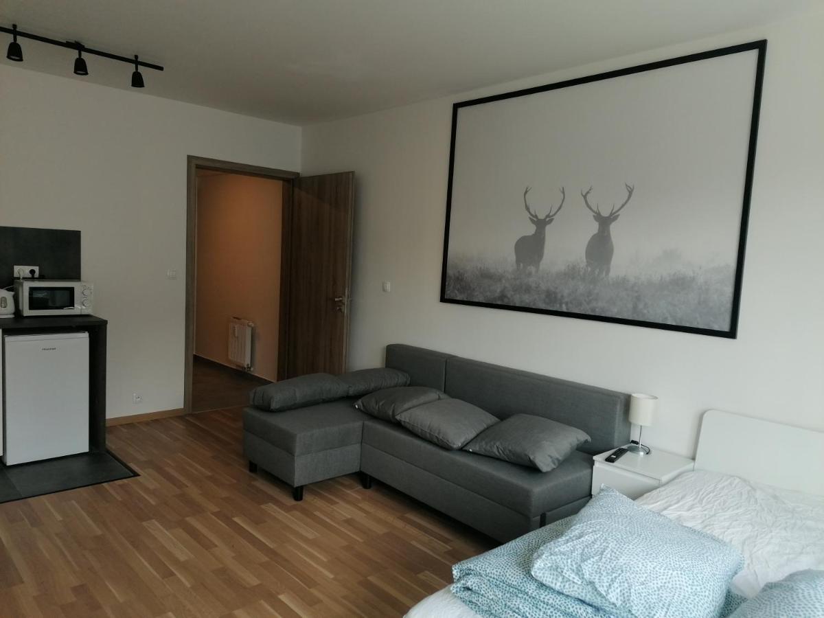 Brand New Studio Apartment #62 With Free Secure Parking In The Center Praha Exteriér fotografie
